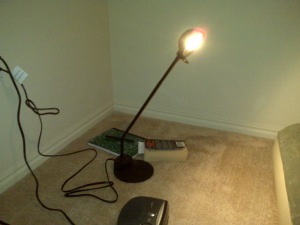 My new lamp